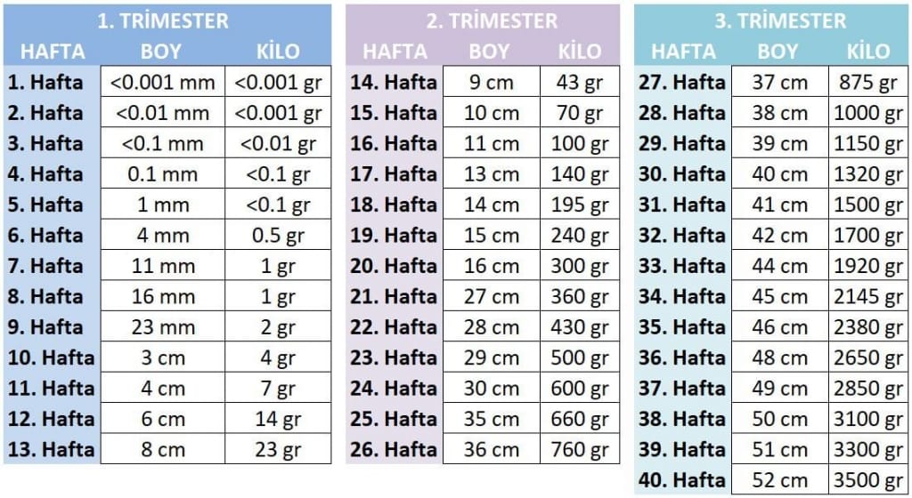 Gebelik Haftası Hesaplama