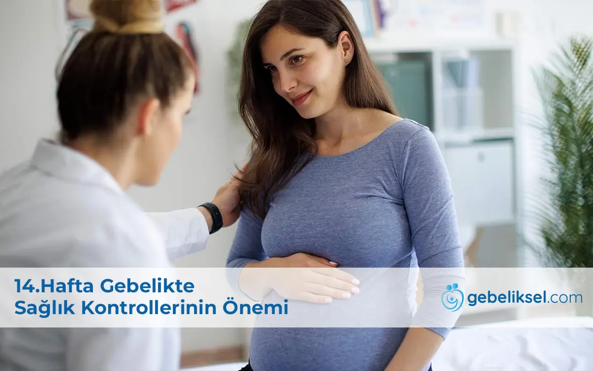 14.Hafta Gebelik