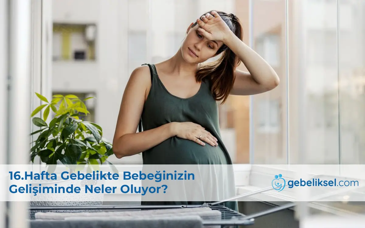 16.Hafta Gebelik