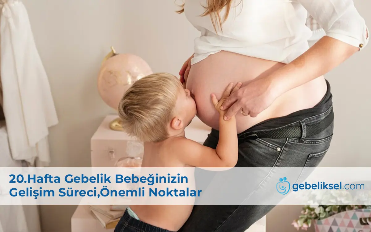 20.Hafta Gebelik