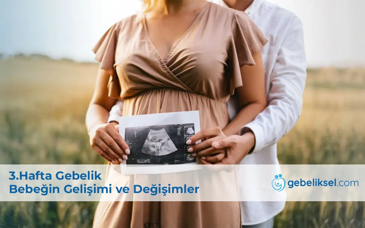 3.Hafta Gebelik