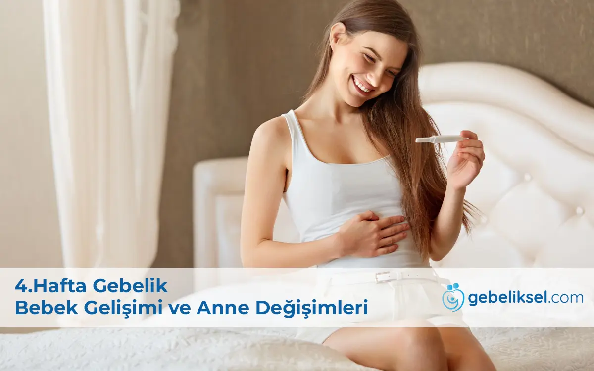 4.Hafta Gebelik
