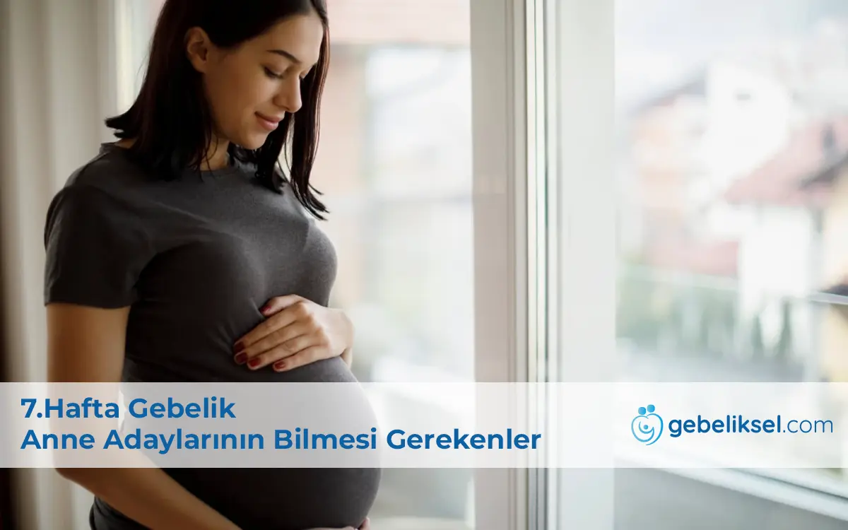 7.Hafta Gebelik