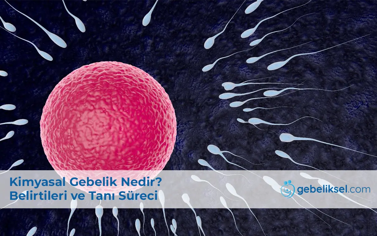 Kimyasal Gebelik Nedir?